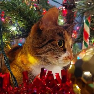 Meet your Posher, Darby